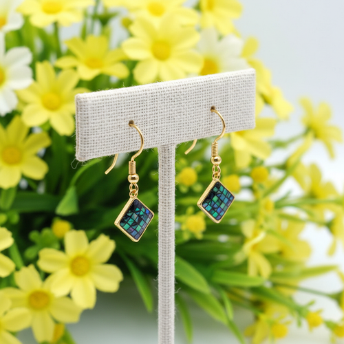 Abalone Earrings - Display No Gem